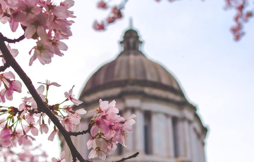 stock image of capitol in Wash State